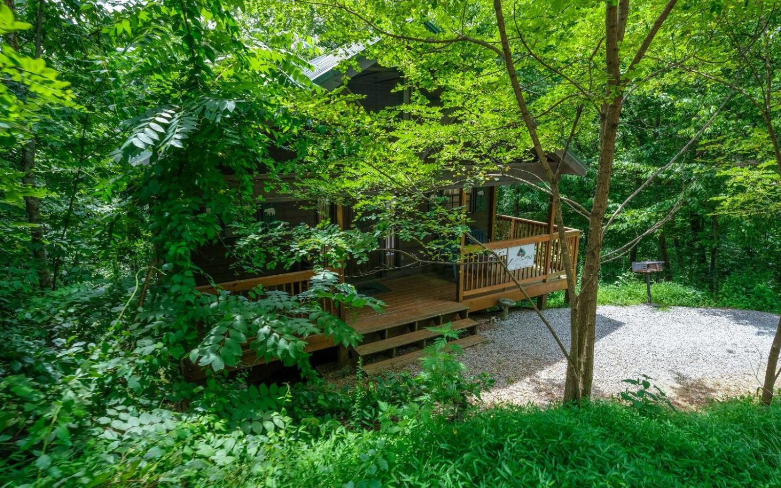The Tree House Villa Gatlinburg Ngoại thất bức ảnh